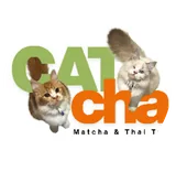 CatCha
